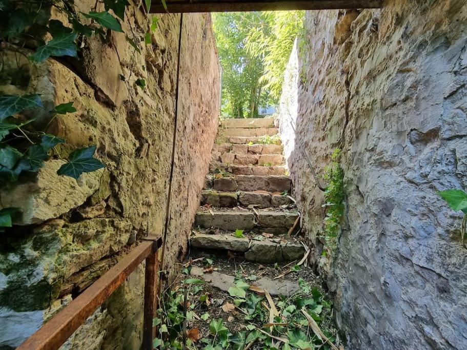Elegance Provinoise Aux Pieds Des Remparts Classe Provins Ngoại thất bức ảnh